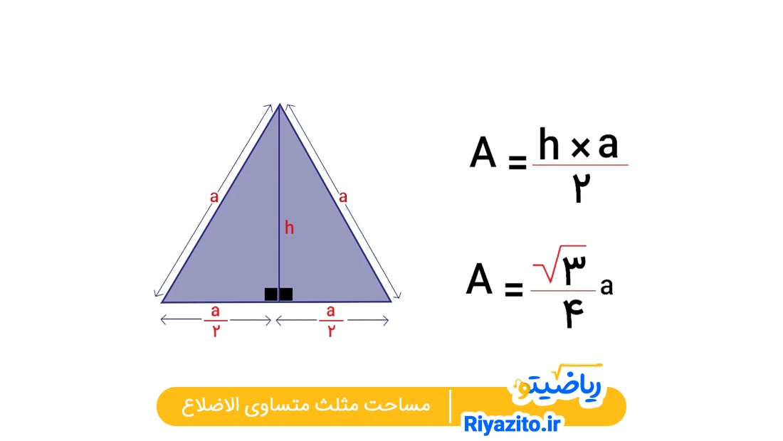 مساحت مثلث متساوی الاضلاع